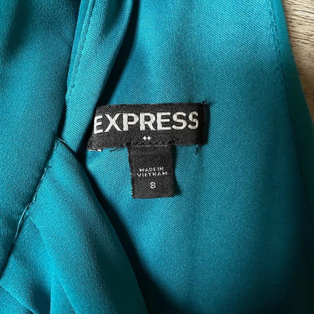Express Dress - Picture 3 of 3